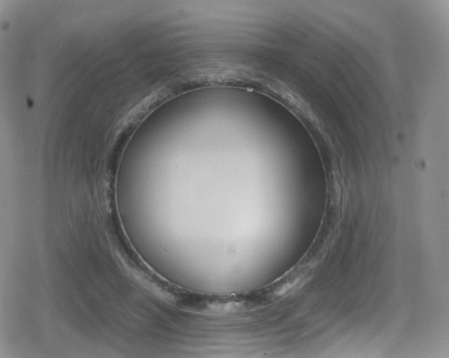 X0000080730450200612150907