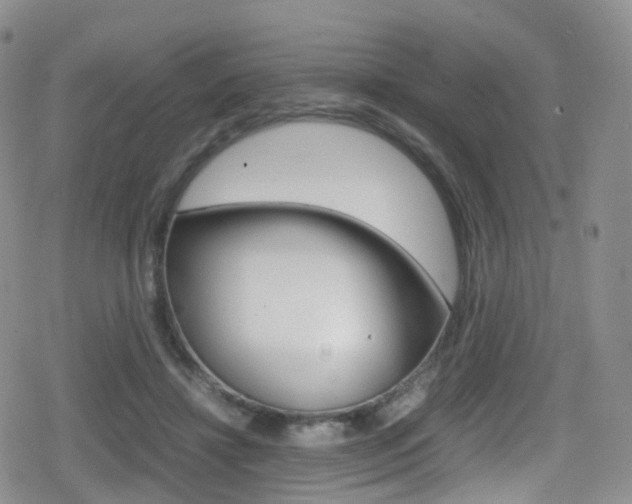 X0000080730452200612150907