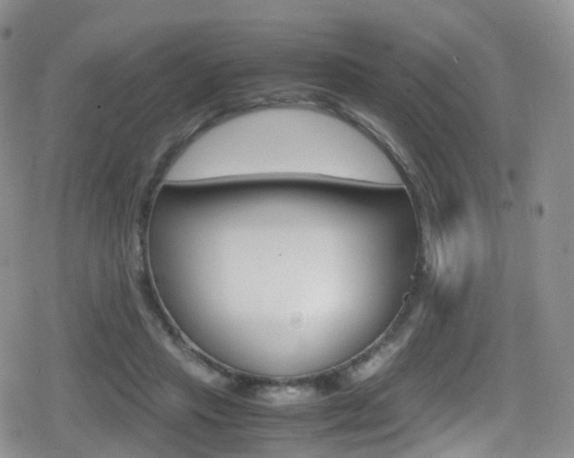 X0000080730453200612150907