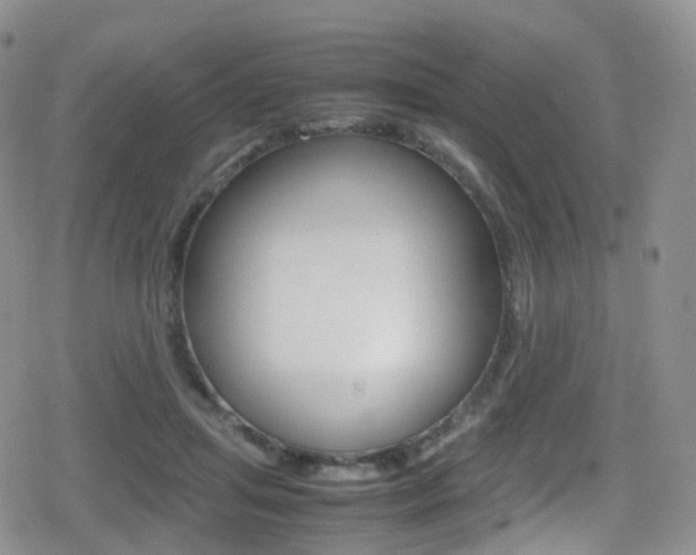 X0000080730455200612150907