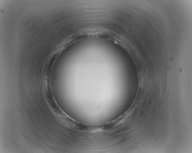 X0000080730456200612150907