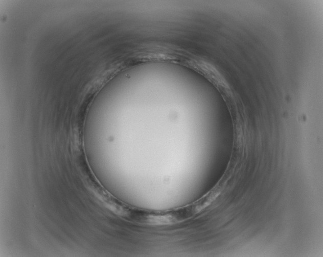 X0000080730457200612150907