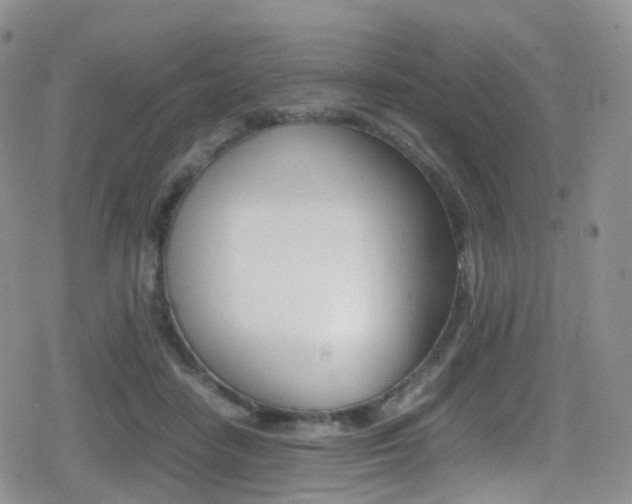 X0000080730458200612150907