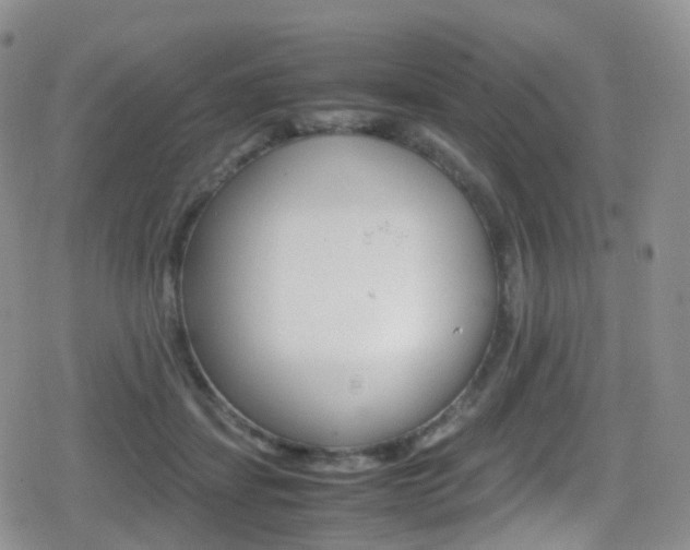 X0000080730459200612150907