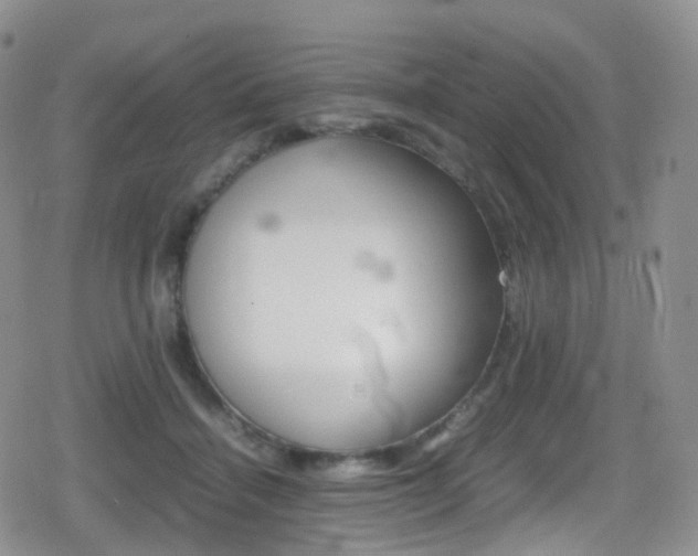 X0000080730460200612150907