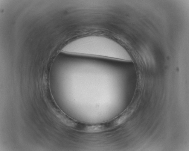 X0000080730461200612150907