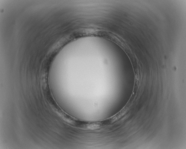 X0000080730462200612150907