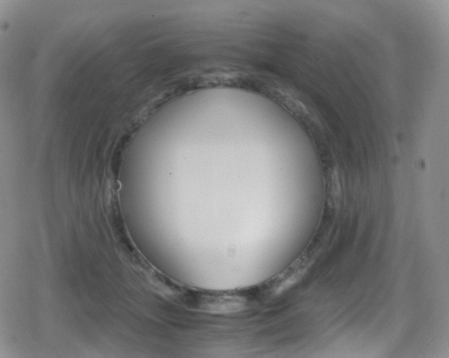 X0000080730463200612150907