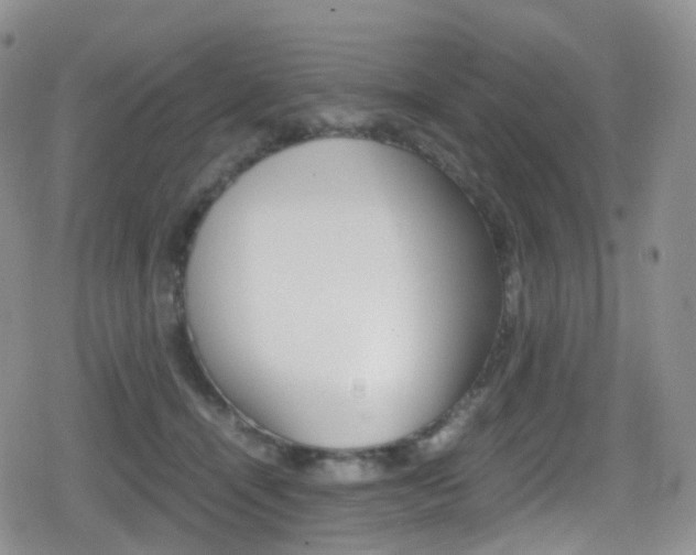 X0000080730464200612150907