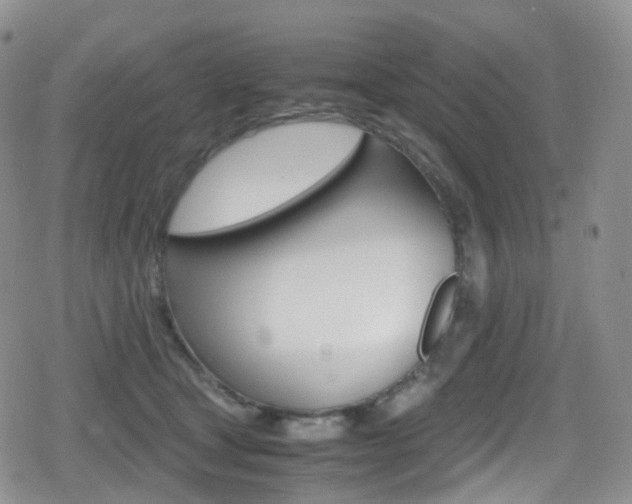 X0000080730465200612150908