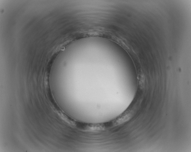 X0000080730466200612150908