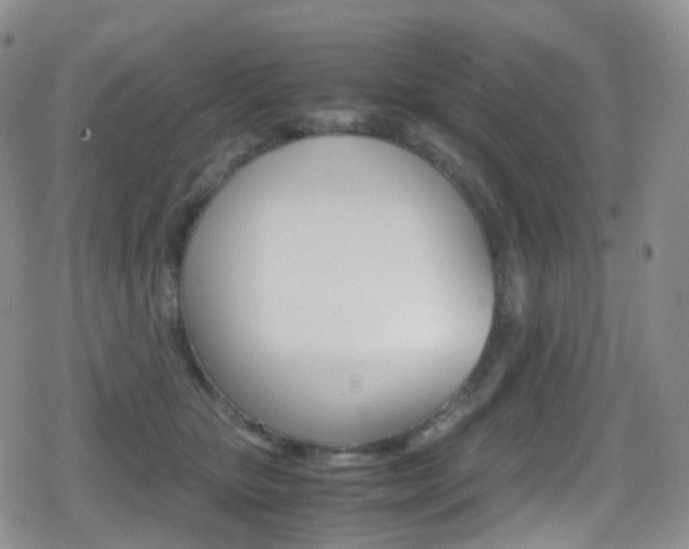 X0000080730467200612150908