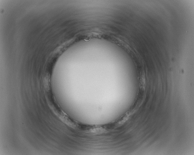 X0000080730468200612150908