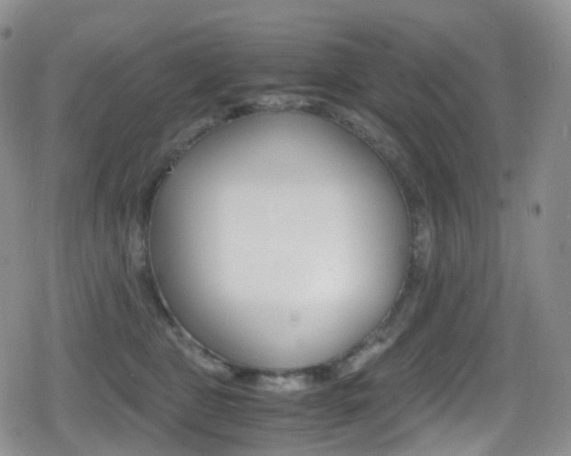 X0000080730469200612150908