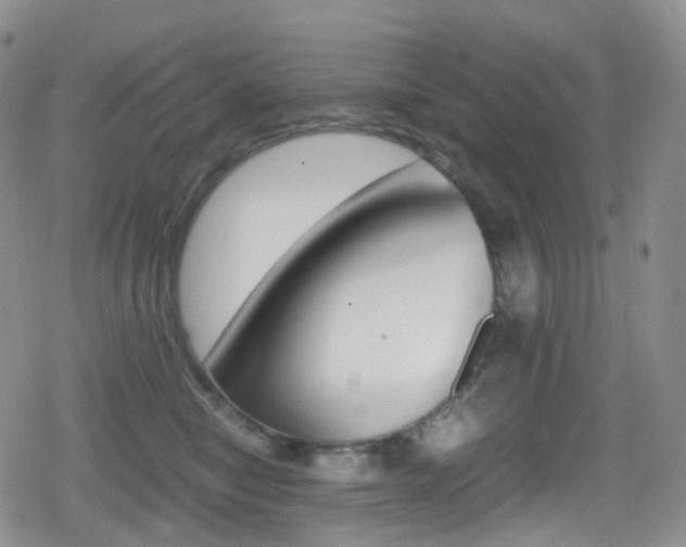 X0000080730470200612150908