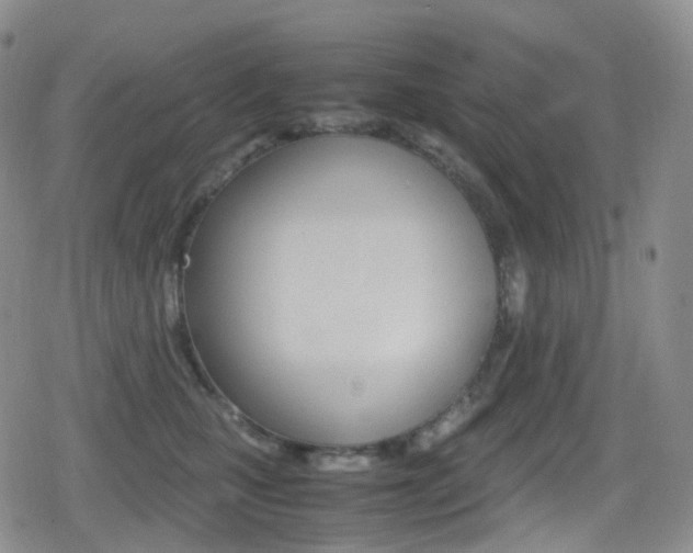 X0000080730471200612150908