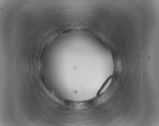 X0000080730472200612150908