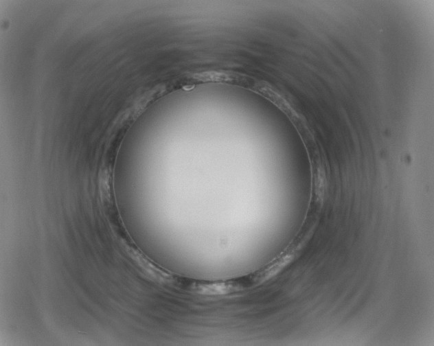 X0000080730473200612150908