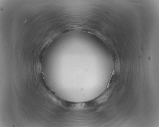 X0000080730474200612150908