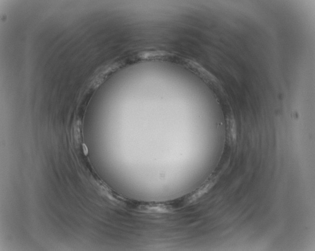 X0000080730475200612150908