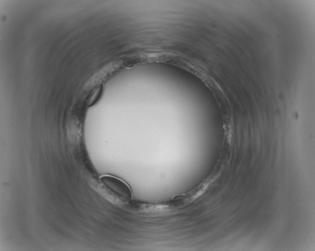 X0000080730476200612150908