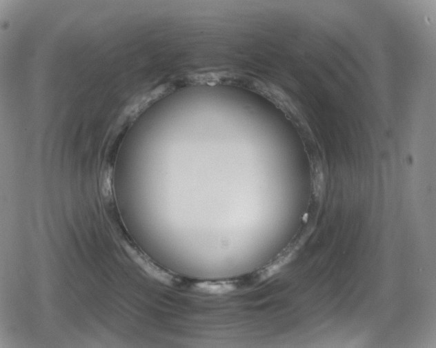 X0000080730477200612150908