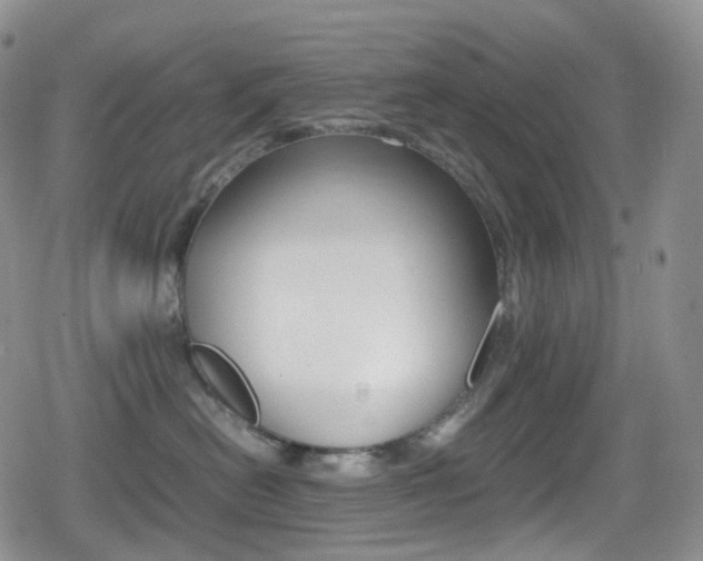 X0000080730478200612150908