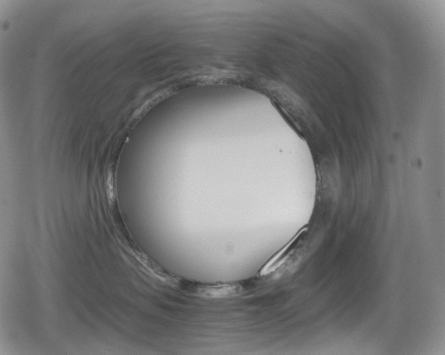 X0000080730479200612150908