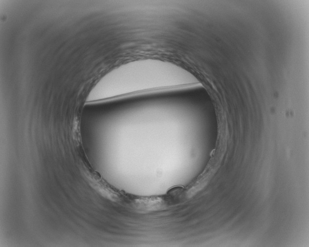 X0000080730480200612150908