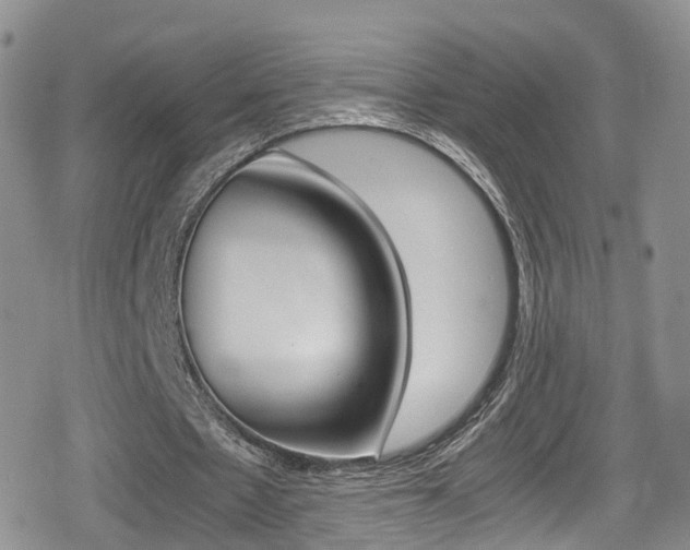 X0000080730481200612150907