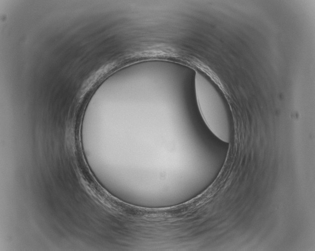 X0000080730482200612150907