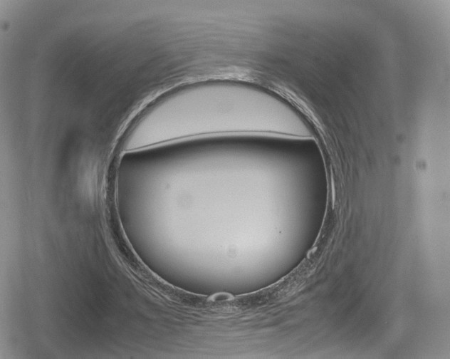 X0000080730483200612150907