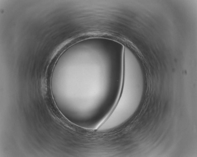 X0000080730484200612150907