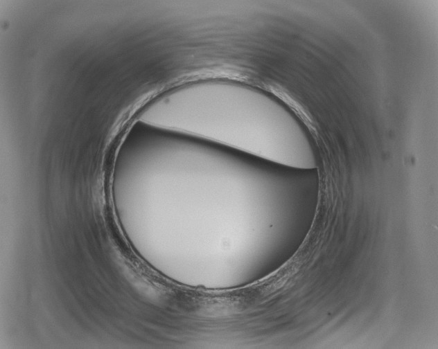 X0000080730486200612150907