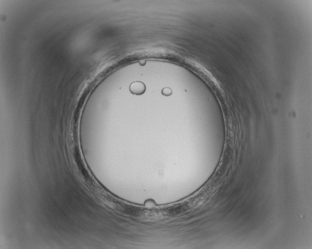 X0000080730487200612150907