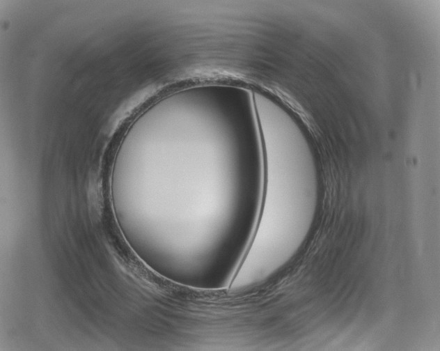 X0000080730488200612150907