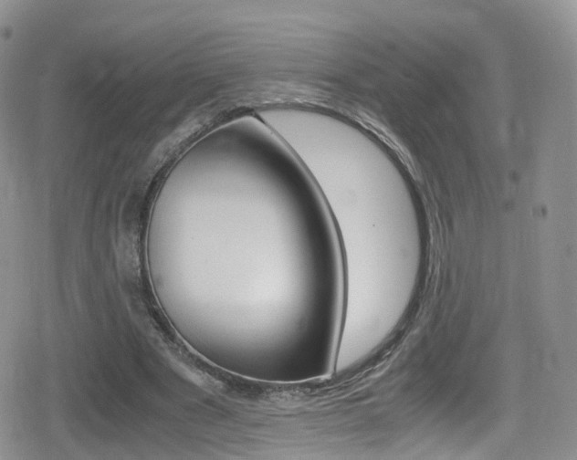 X0000080730489200612150907