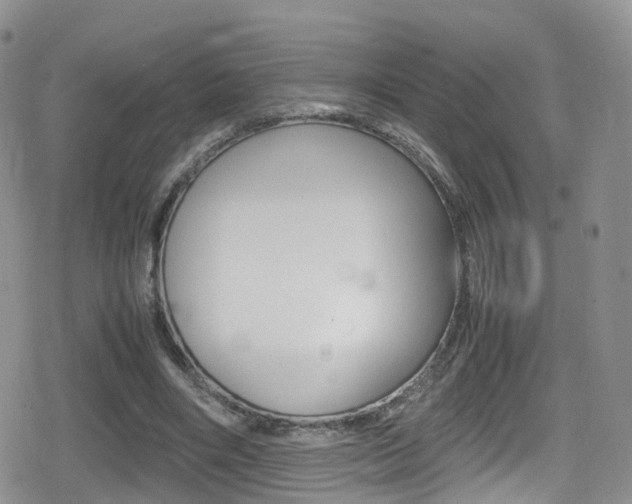 X0000080730490200612150907