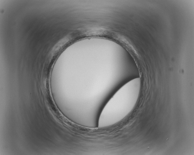 X0000080730491200612150907