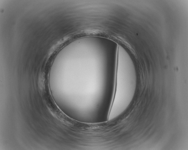 X0000080730492200612150907