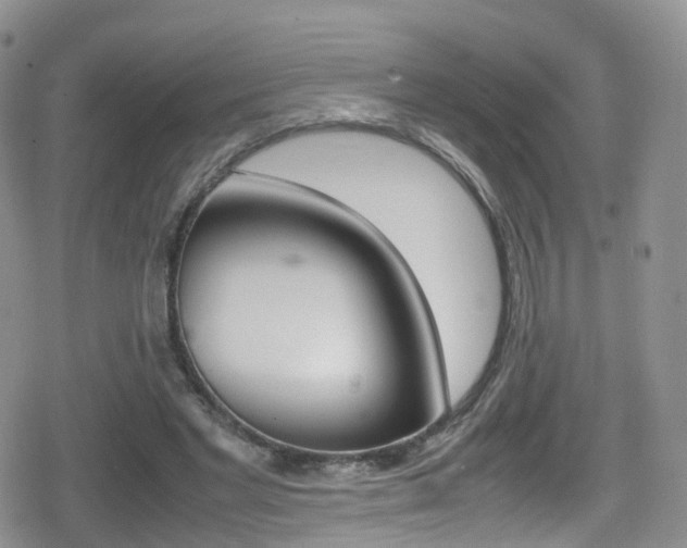 X0000080730493200612150907