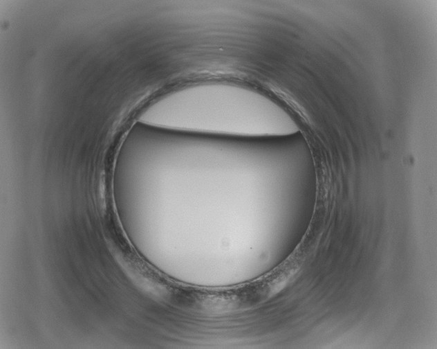 X0000080730494200612150907