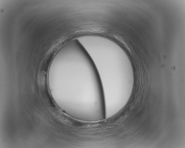 X0000080730495200612150907