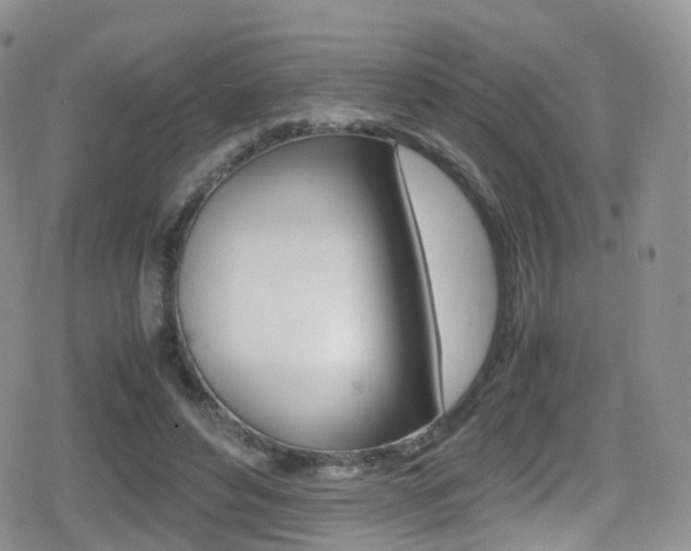 X0000080730496200612150907