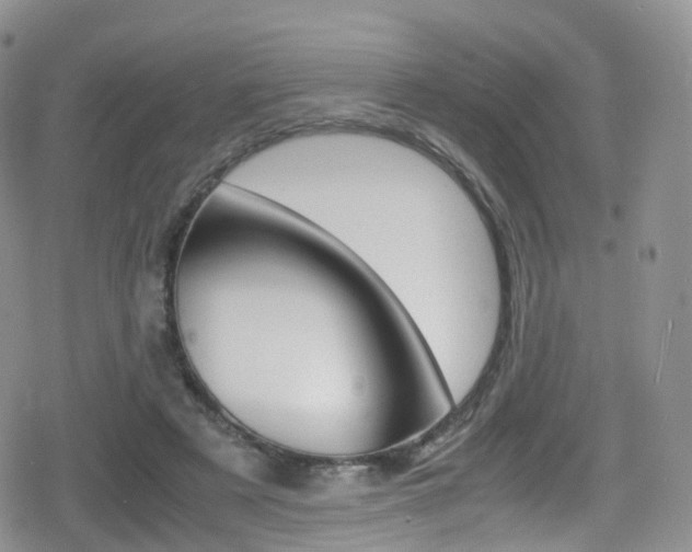 X0000080730497200612150907