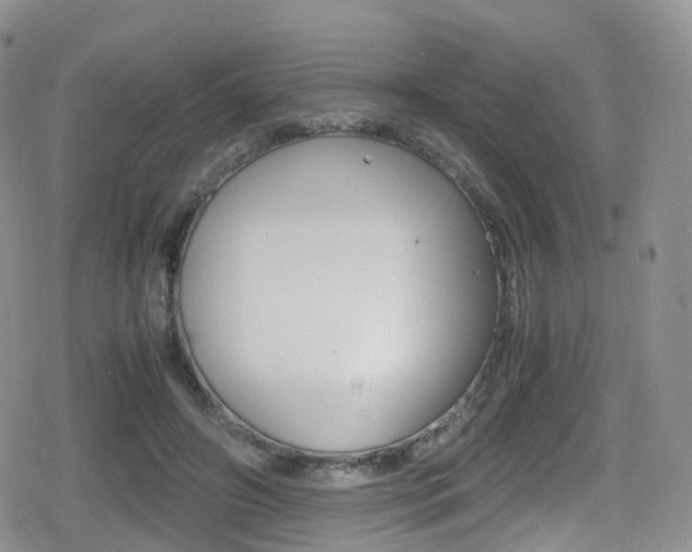 X0000080730498200612150907