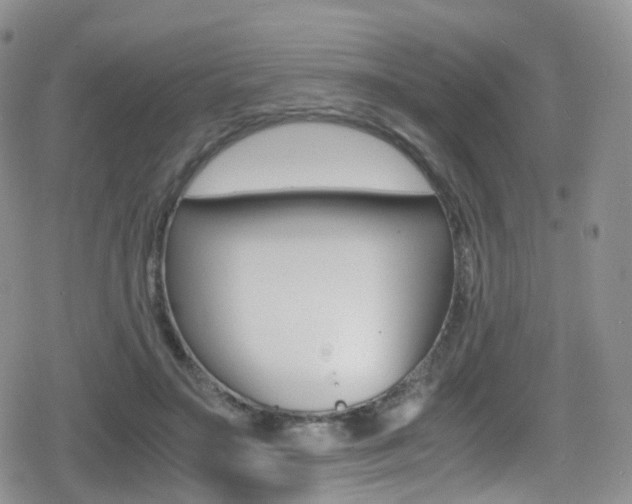 X0000080730499200612150907