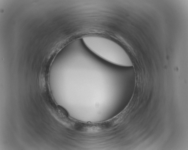 X0000080730500200612150907