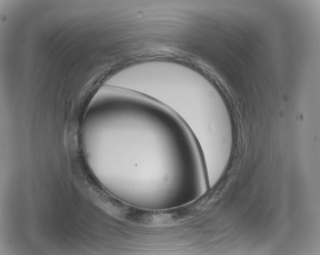 X0000080730501200612150907