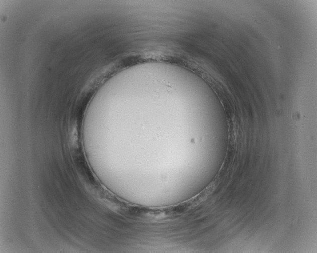 X0000080730502200612150907